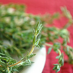 6121426302_647f1d1357_q